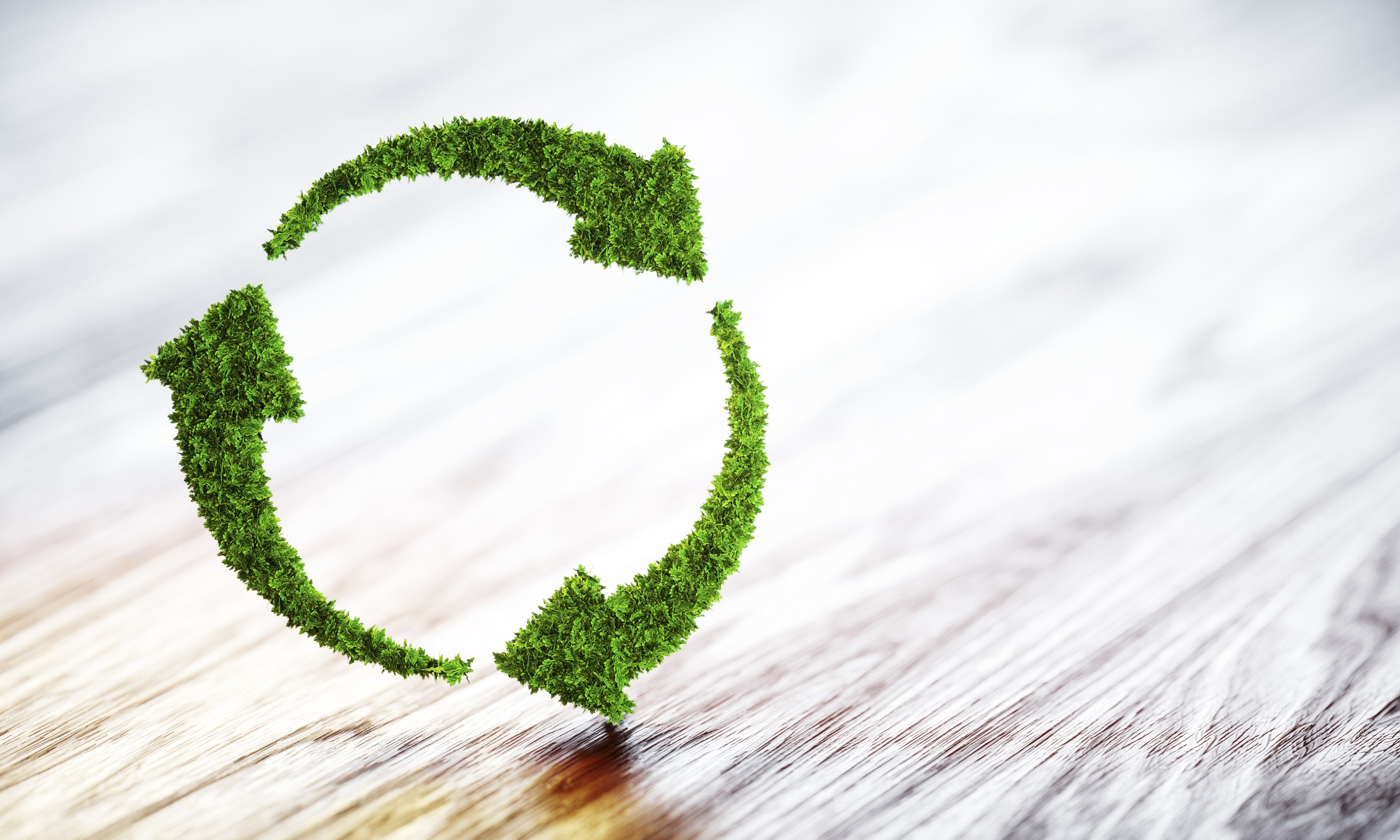 Energielabel: nuttig of noodzakelijk?