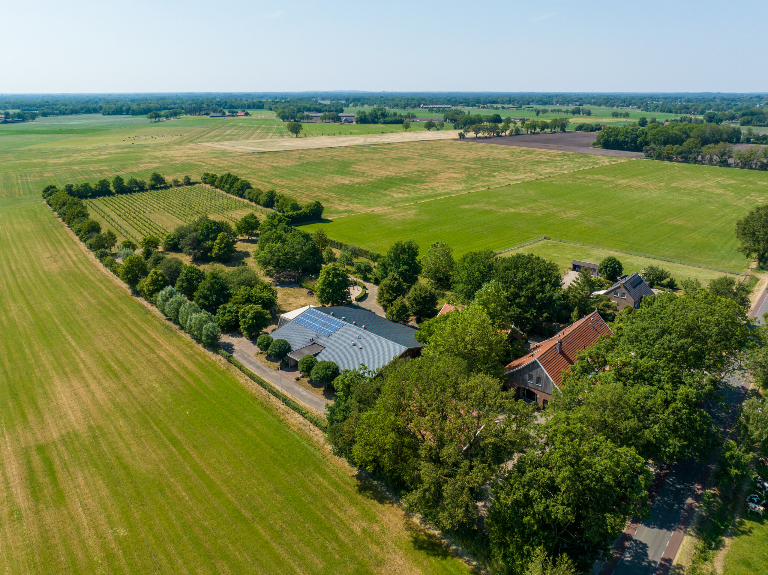 VERKOCHT – Wijndomein Erve Wisselink