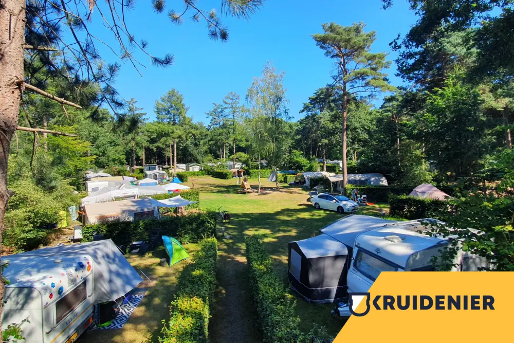 Gasselte – Hoogte der Heide 8