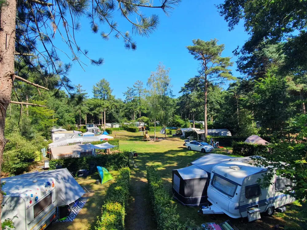 Gasselte – Hoogte der Heide 8